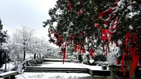 Wanhua Mountain Hotel - Image 3