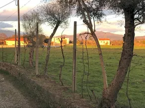 Quinta De Areias - Image 3