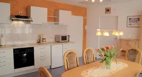 Hundemüde in Dresden - Image 3