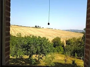 B&B Le Logge Ritrovate - Image 4