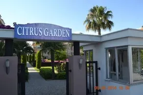 Citrus Garden Side - Image 1