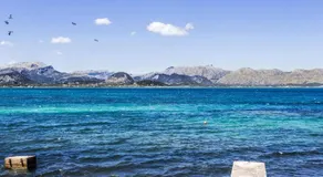 Mediterranean Sundance - Image 3