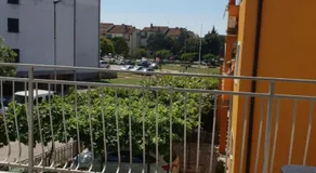 APP Green Olive - Image 5