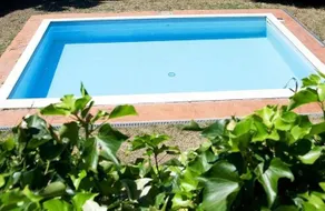 Miralaghi - Image 2