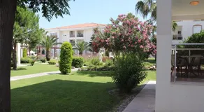Four Seasons. Ilicia. Side - Image 5