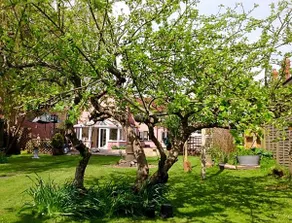 Bramley Cottage - Image 3