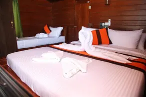Yala Tree House Safari - Image 3
