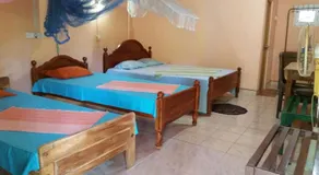 The Nest - Image 4