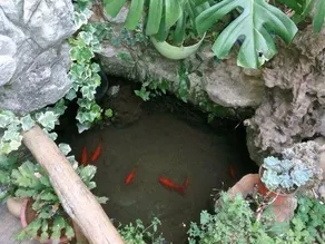 Lijiang Ancient City Boutique ·  Private Soup Resort Smart Life Hall - Image 5