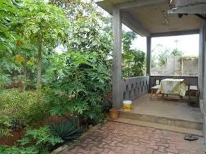 Pano Pano house - Image 2