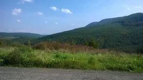 Panorama Vegapansion - Image 3