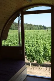 Les Sens de la Terre - Image 5