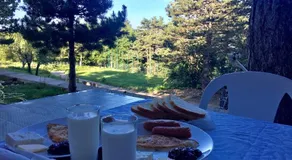 Shkreli Hotel Camp - Image 5