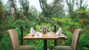 Te Waonui Forest Retreat - Image 5
