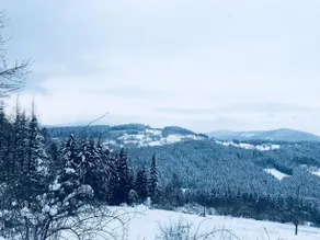Przytulia - Image 3