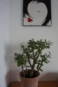 Appartment Innernzell - Image 4