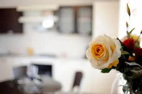 Studio NEST - Image 3