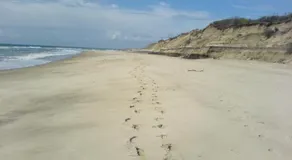 House on Atlantic Ocean on Sand Dune overlooking Beach and Ocean - Image 3