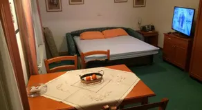 Vila Vesna - Image 4