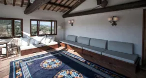 Chroma Domus - Image 3