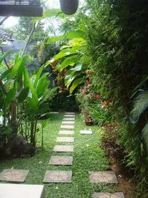 Villa Silviana - Image 3