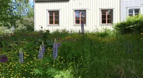 B&B Lilla Lotten - Image 3