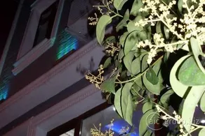 Taksim Antique Suites - Image 3