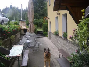 Penzion Borovice - Image 4