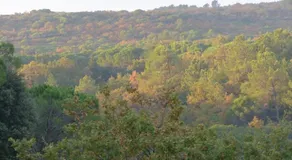 gite du soleil - Image 5