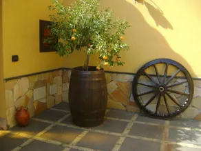 Il Mandarino Bed & Breakfast - Image 2