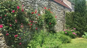 Casa romantica - Image 4