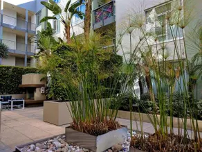 Hollywood Sunset Suite - Image 3