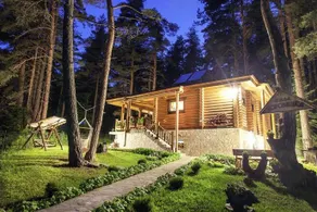 Villa Borovinka - Image 2