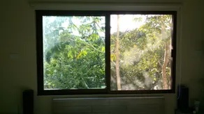 Selva Madre 203 - Image 3