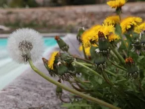 Manoir d'Elles - Image 3