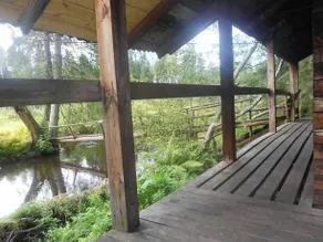 Ukuaru Nature Cabin - Image 5