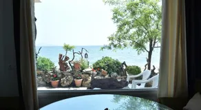step to the sea - Image 3