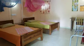 The Nest - Image 5