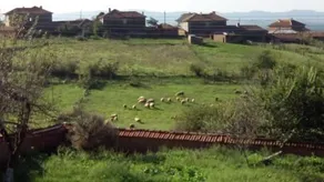 Manka Farm - Image 3