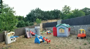 Saint Bernard - Image 2
