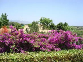 Agriturismo Colle Degli Ulivi - Image 4
