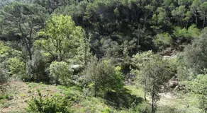 A la campagne - Image 3