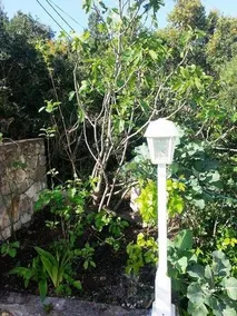 Guest House Aloha - Image 4