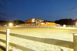 Master Horse Club - Image 2
