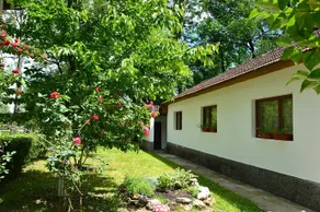 Hostel Una Rosa - Image 5