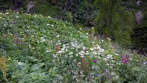 Clair Matin Bed & Breakfast - Image 5