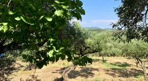 Casa Bella Vita - Image 2