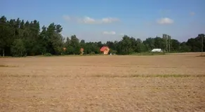 Holzmichel _ Pinocchio - Image 3