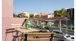 Live San Isidro Cedro - Image 4