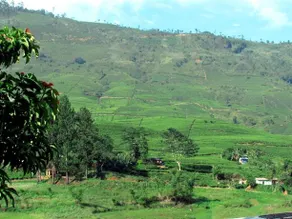 Achintha Family Guest House - Image 5